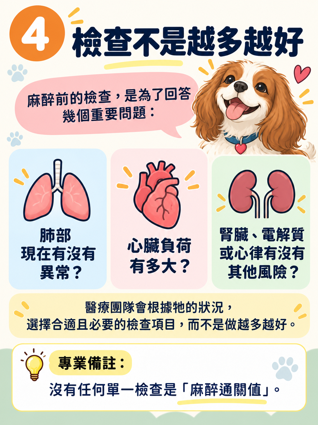 MMVD｜麻醉前評估圖卡 4：檢查不是越多越好