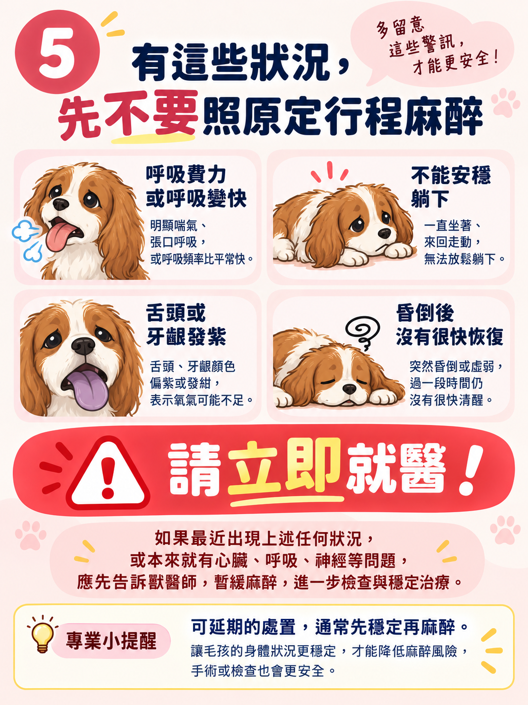 MMVD｜麻醉前評估圖卡 5：有這些狀況，先不要照原定行程麻醉
