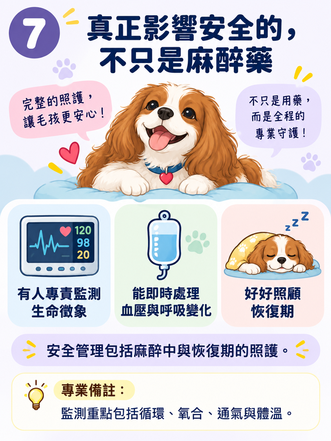 MMVD｜麻醉前評估圖卡 7：真正影響安全的，不只是麻醉藥