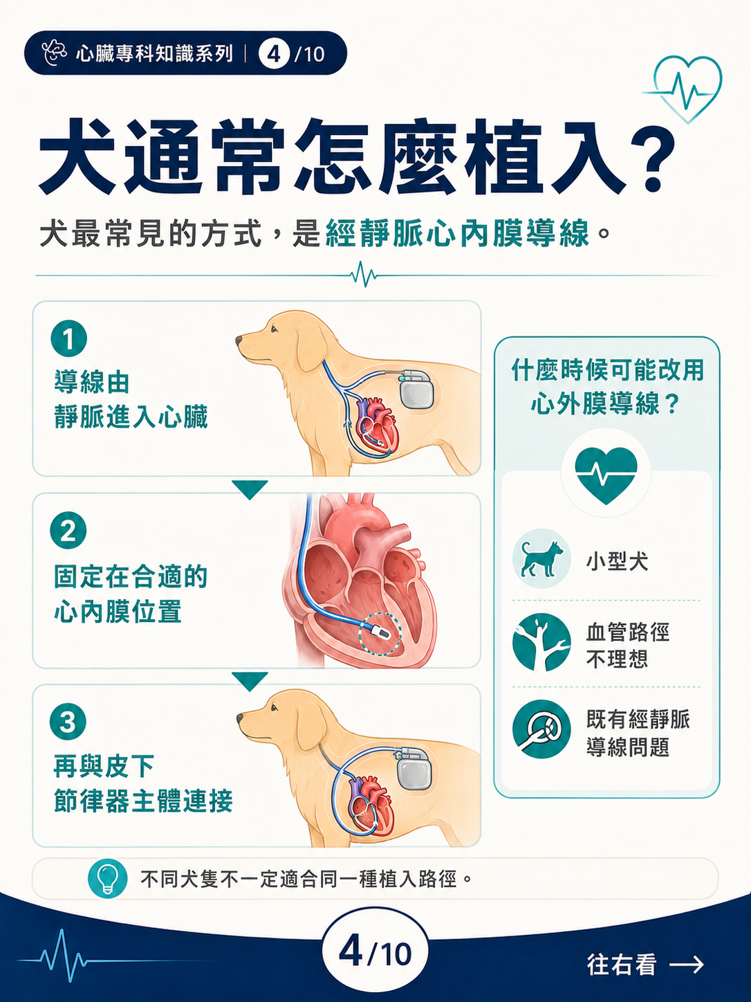 犬的永久心臟節律器治療圖卡 4：犬通常怎麼植入