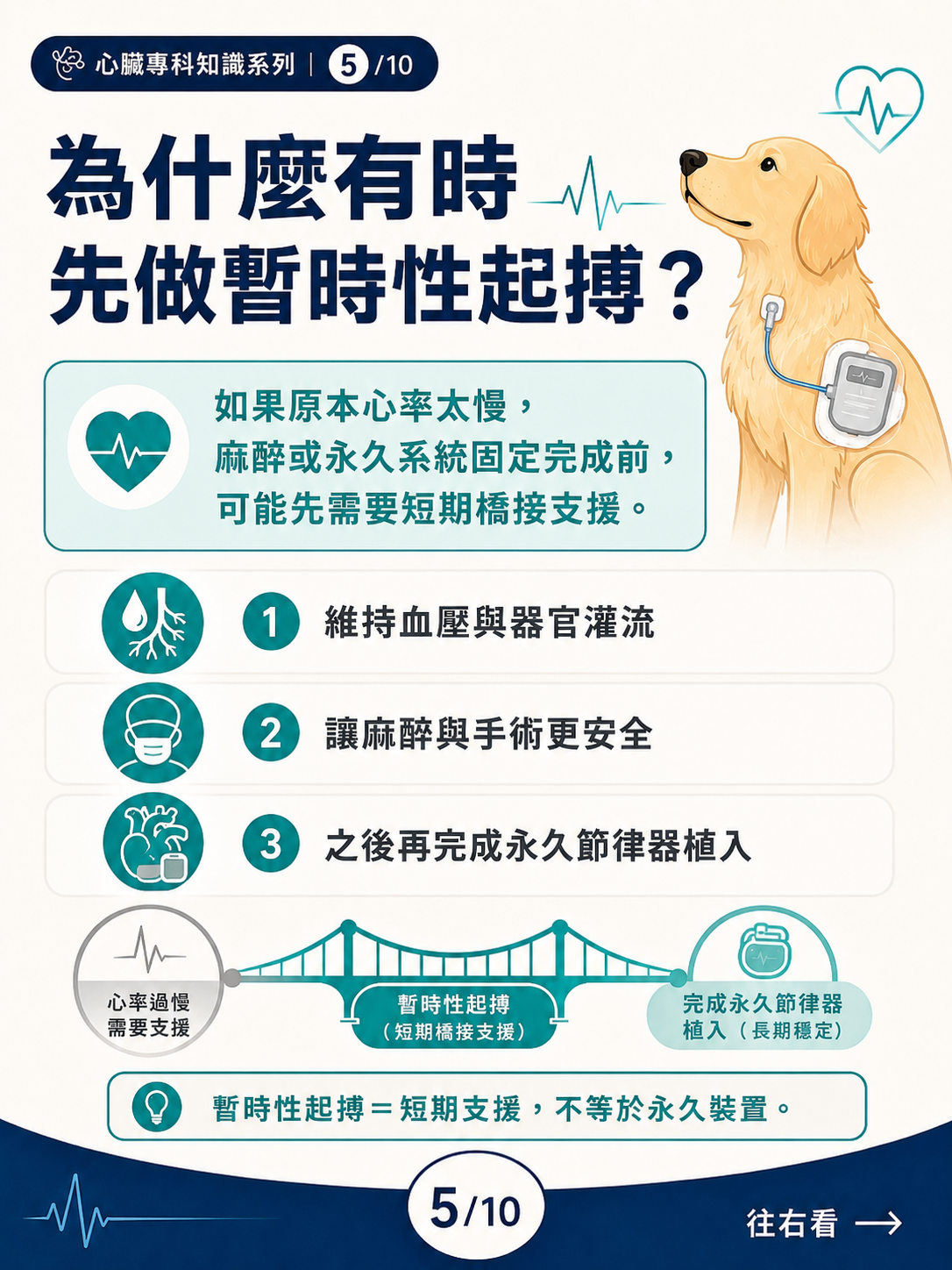 犬的永久心臟節律器治療圖卡 5：為什麼有時先做暫時性起搏