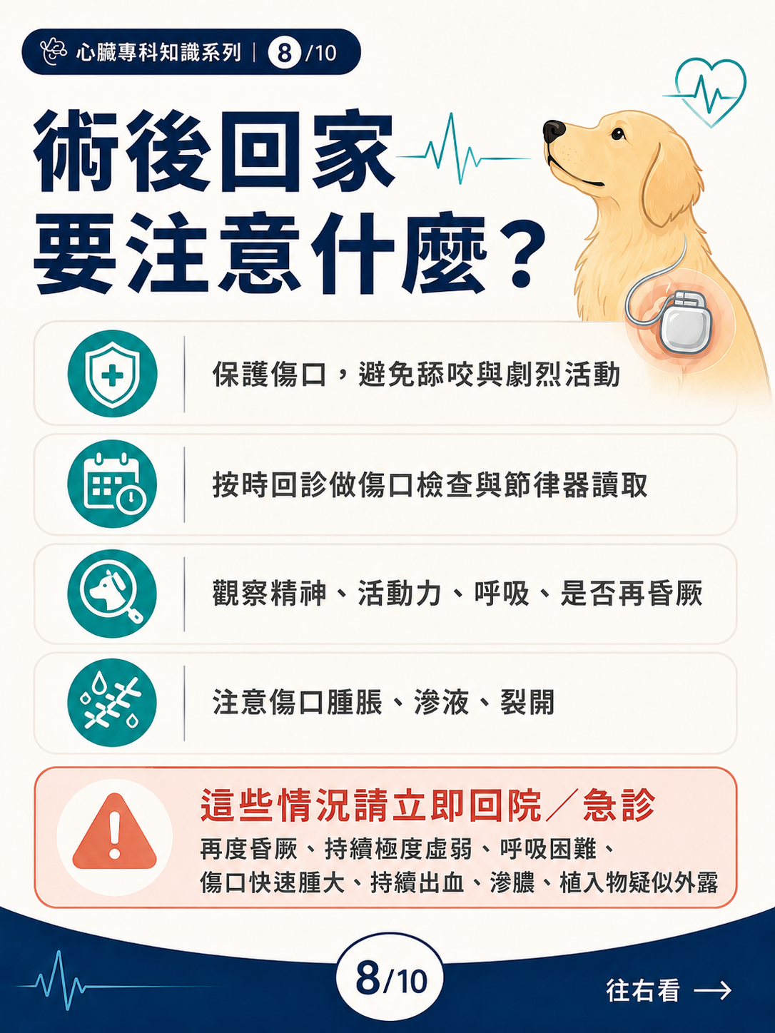 犬的永久心臟節律器治療圖卡 8：術後回家要注意什麼