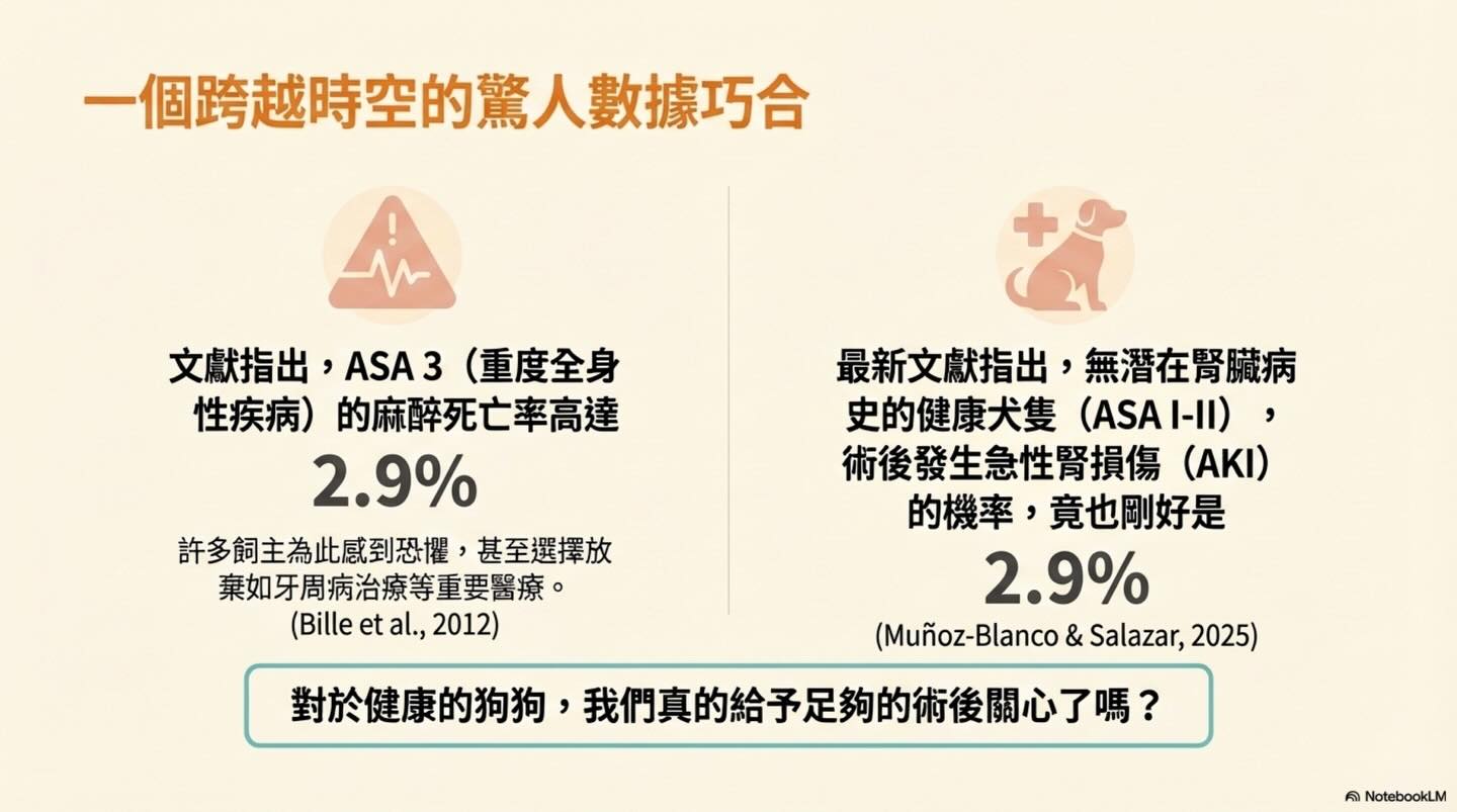 跨越時空的 2.9%：狗狗麻醉後急性腎損傷的隱形危機圖卡 2