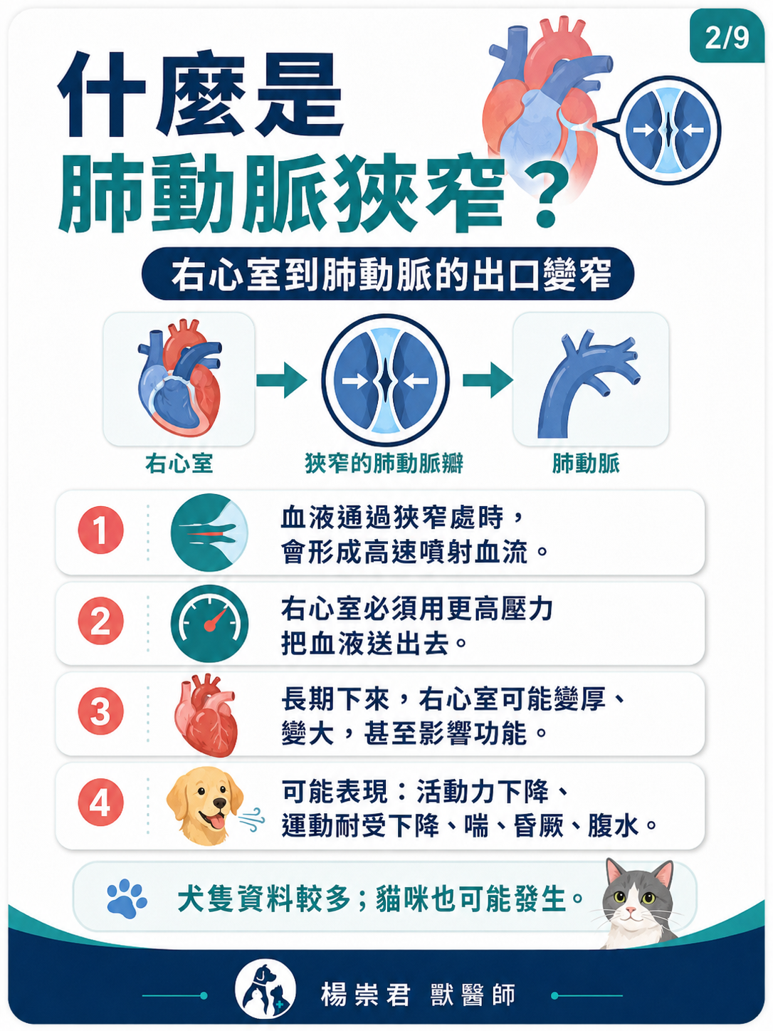 犬貓肺動脈狹窄圖卡 2：什麼是肺動脈狹窄？