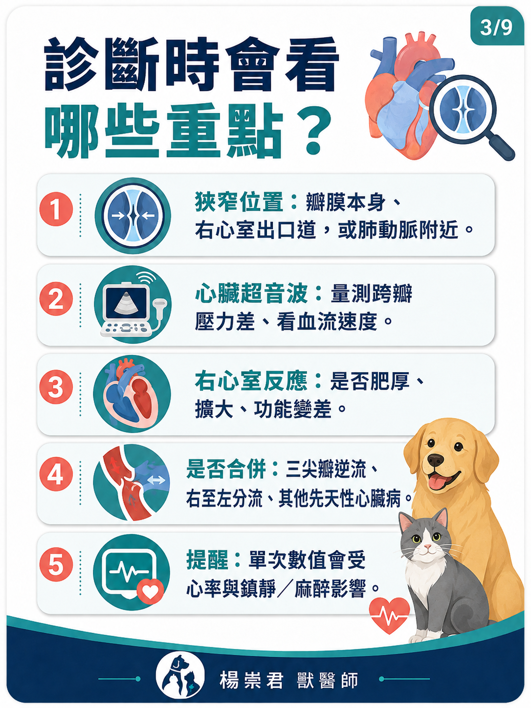 犬貓肺動脈狹窄圖卡 3：診斷時會看哪些重點？