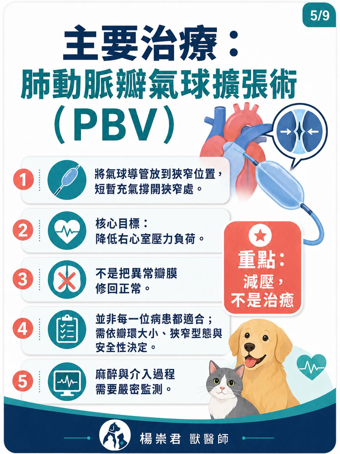 犬貓肺動脈狹窄圖卡 5：主要治療：肺動脈瓣氣球擴張術（PBV）