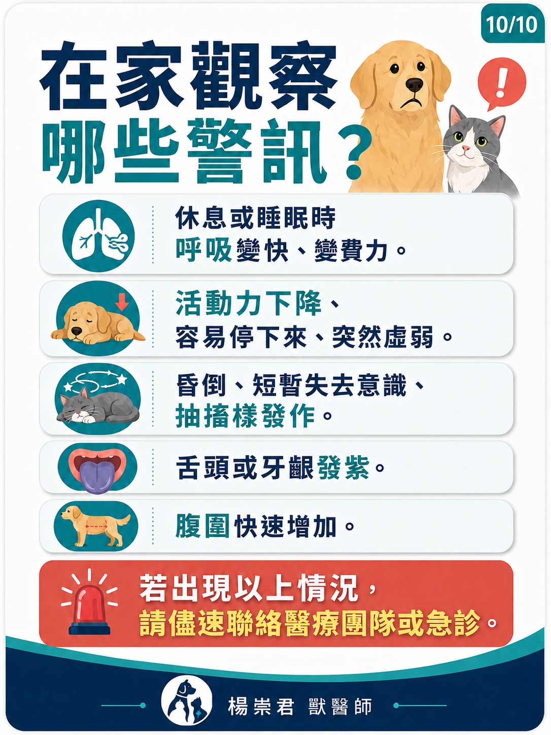 犬貓肺動脈狹窄圖卡 10：在家觀察哪些警訊？