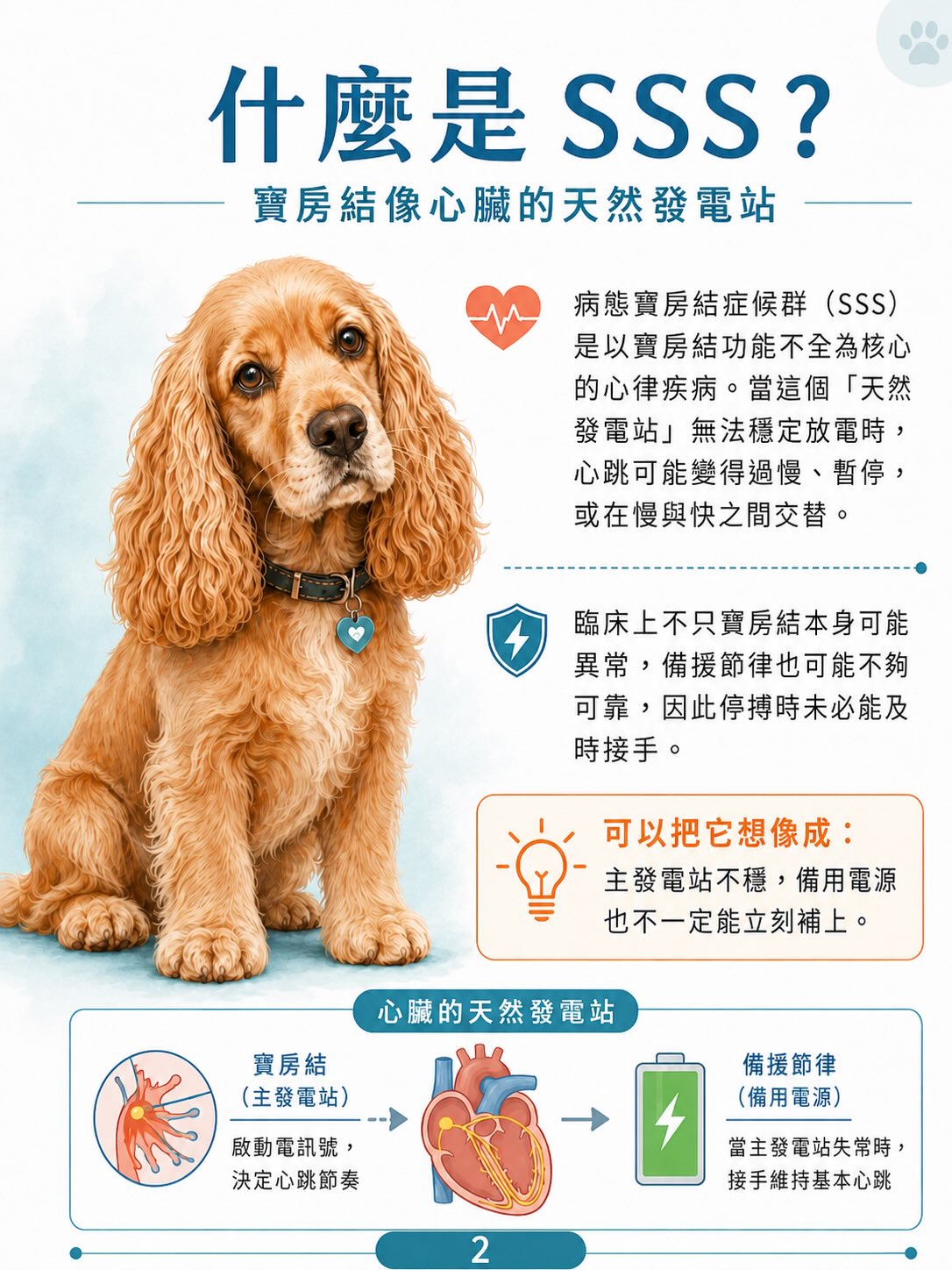 犬病態竇房結症候群（SSS）圖卡 2