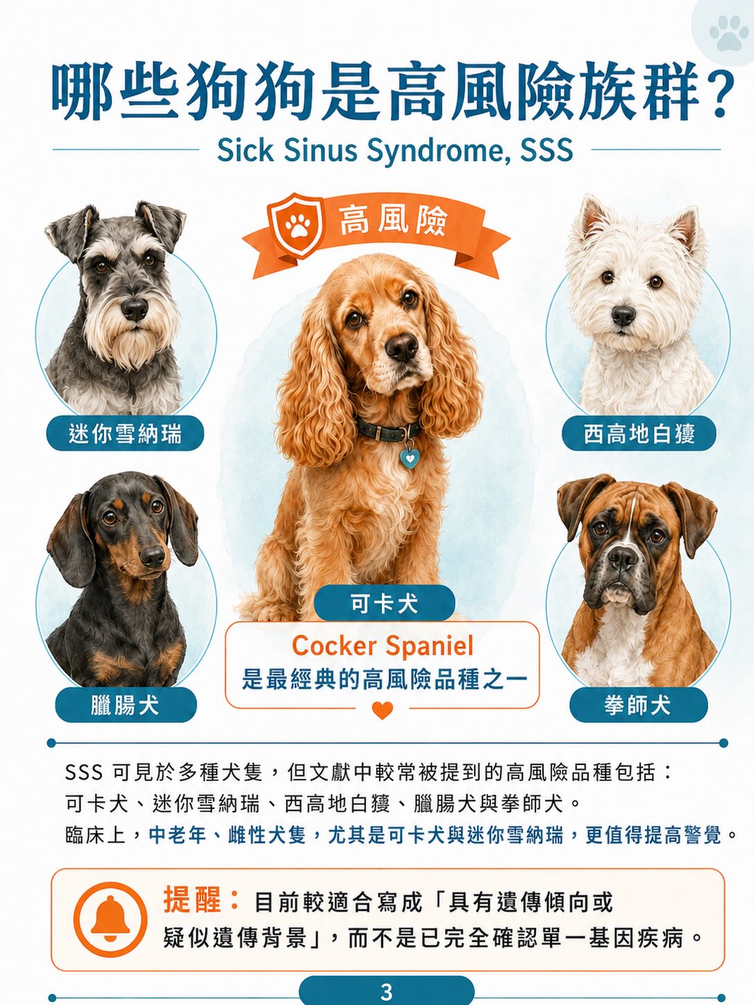 犬病態竇房結症候群（SSS）圖卡 3