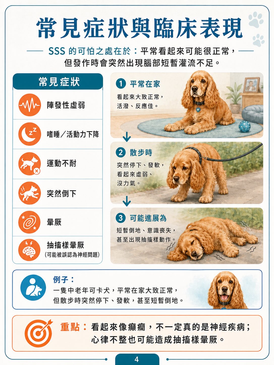 犬病態竇房結症候群（SSS）圖卡 4