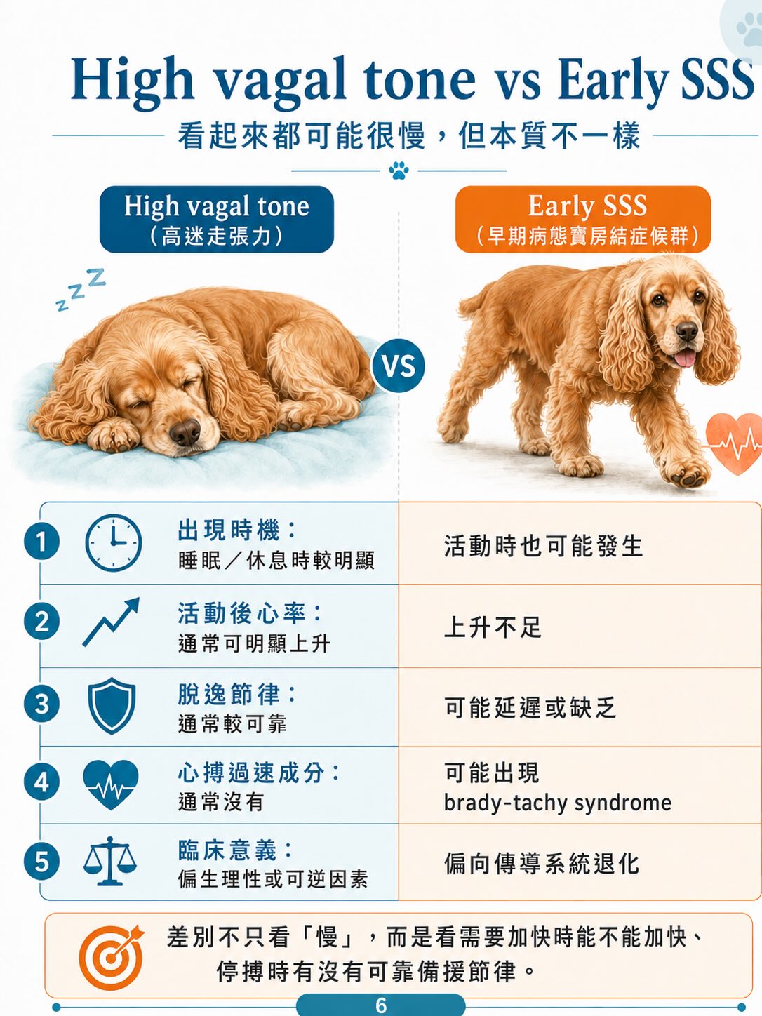 犬病態竇房結症候群（SSS）圖卡 6