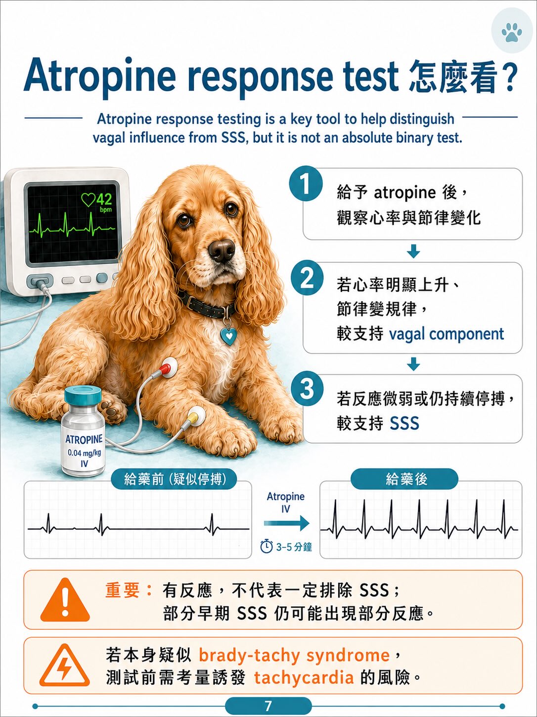 犬病態竇房結症候群（SSS）圖卡 7