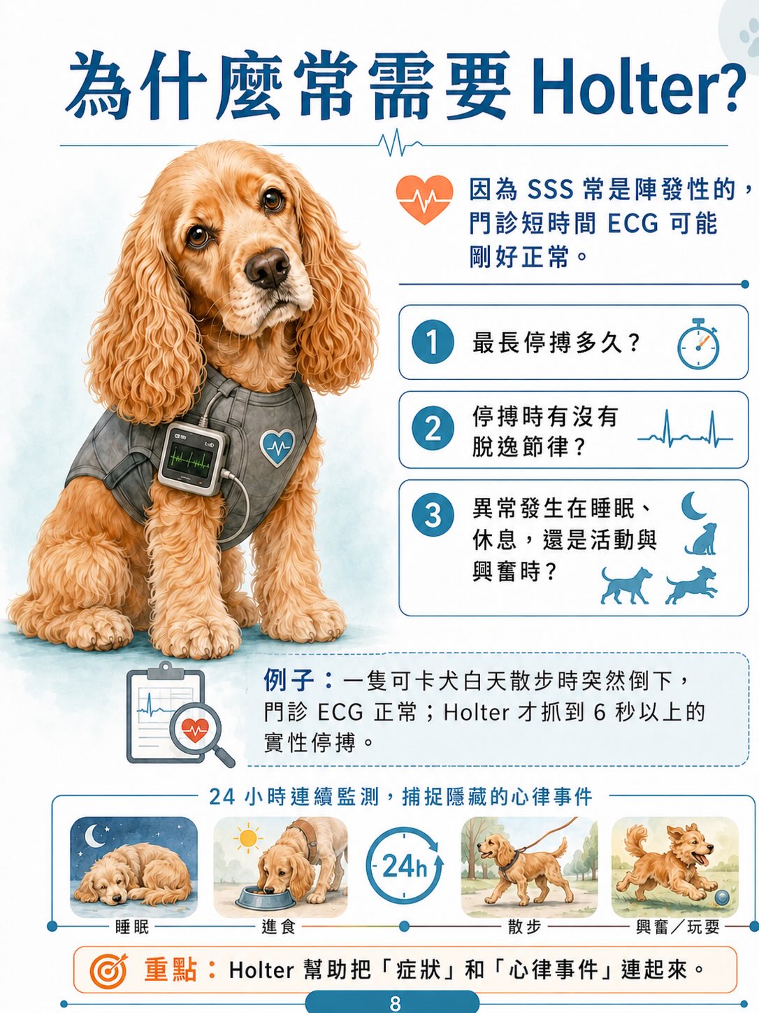 犬病態竇房結症候群（SSS）圖卡 8