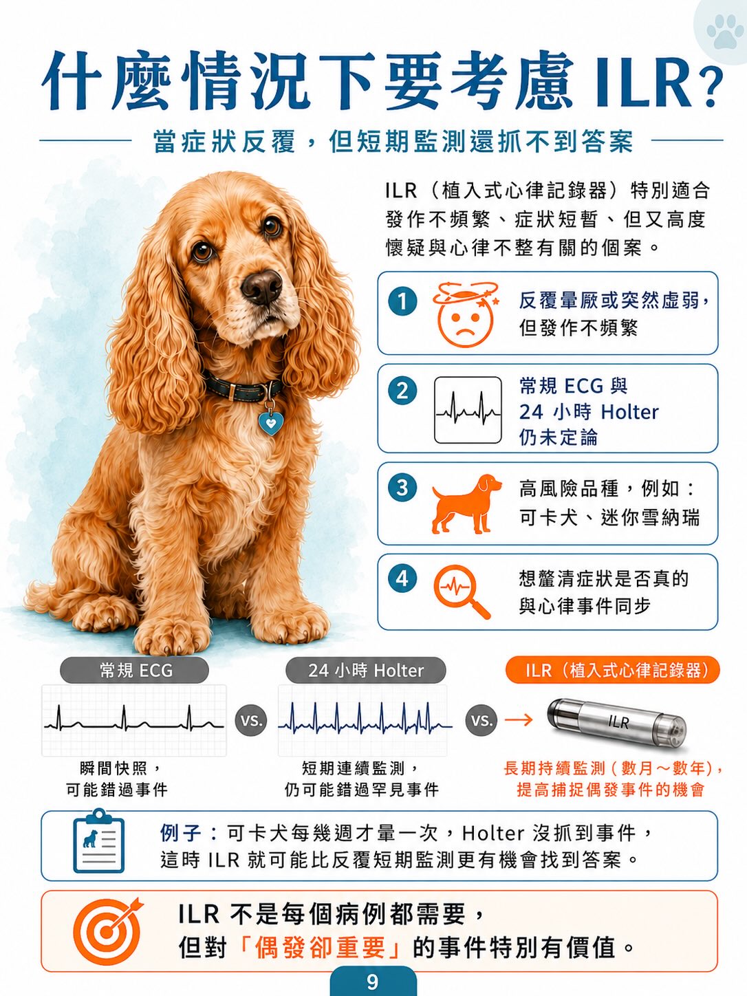 犬病態竇房結症候群（SSS）圖卡 9