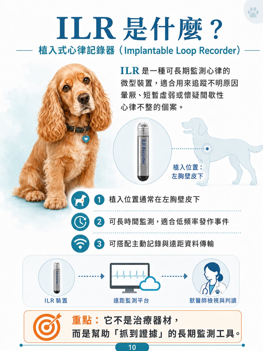 犬病態竇房結症候群（SSS）圖卡 10