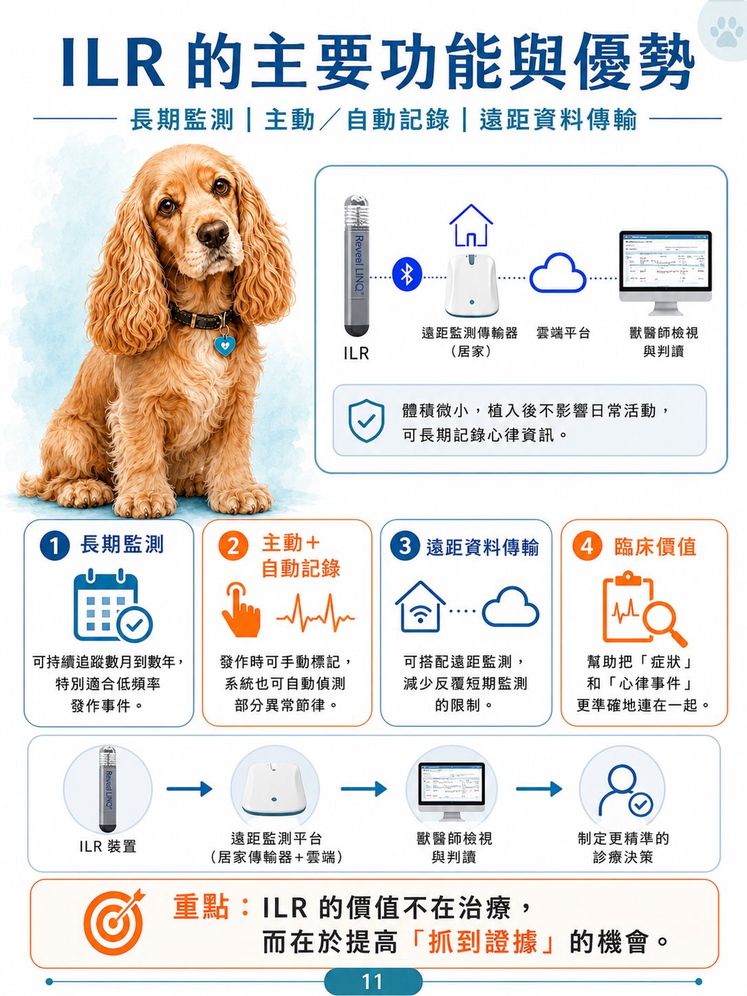 犬病態竇房結症候群（SSS）圖卡 11