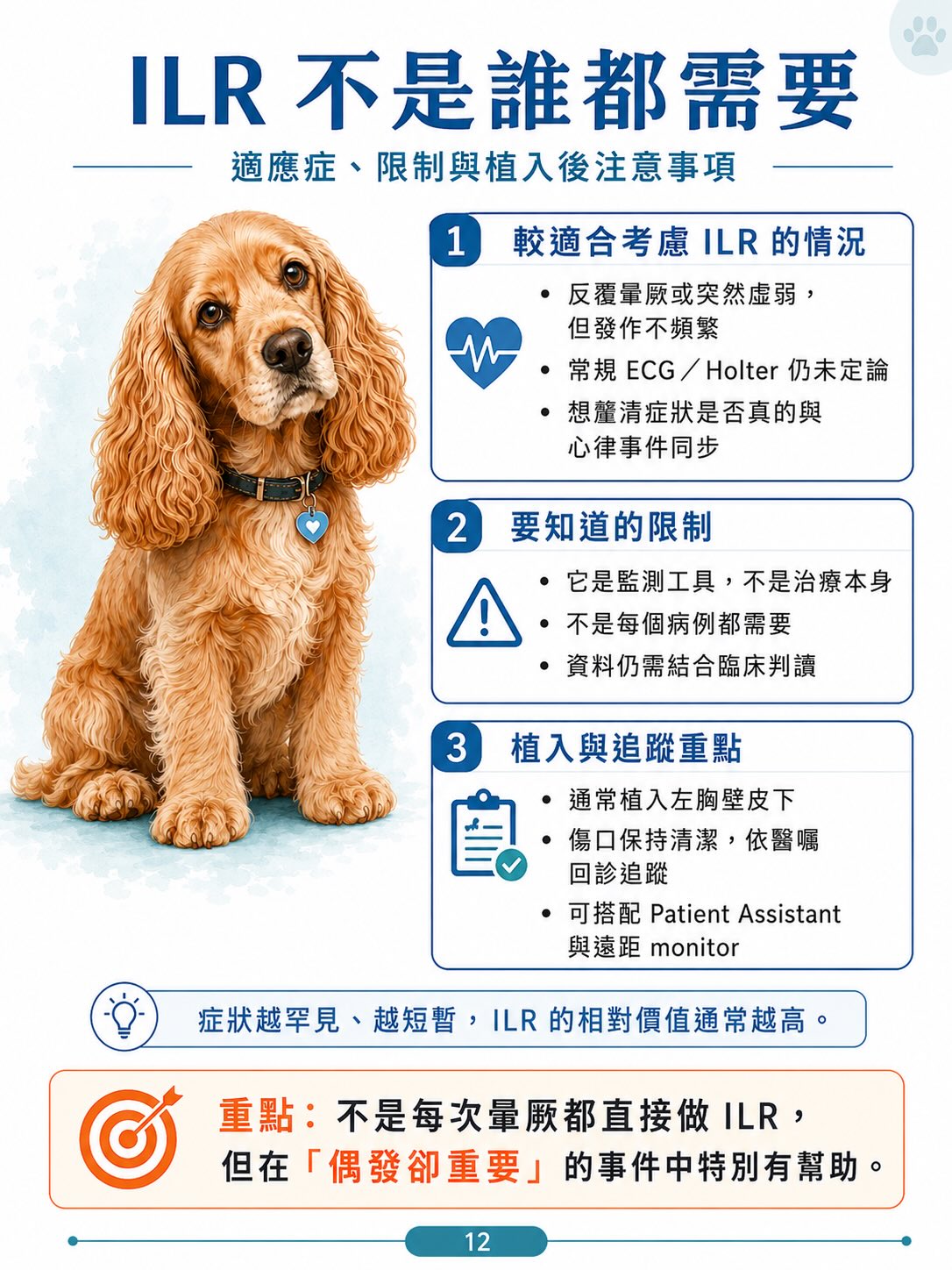 犬病態竇房結症候群（SSS）圖卡 12