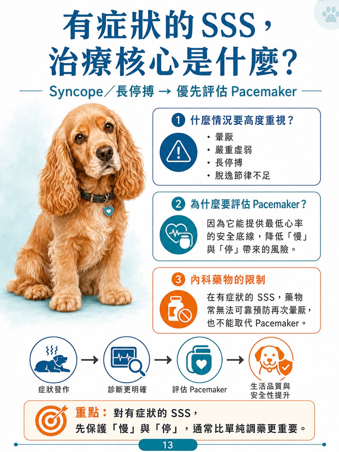 犬病態竇房結症候群（SSS）圖卡 13