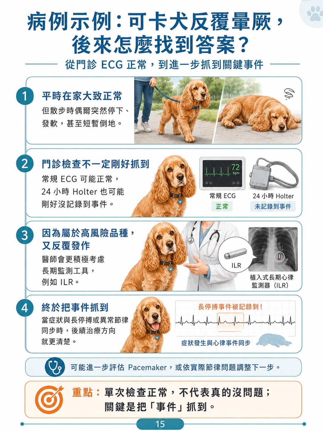 犬病態竇房結症候群（SSS）圖卡 15