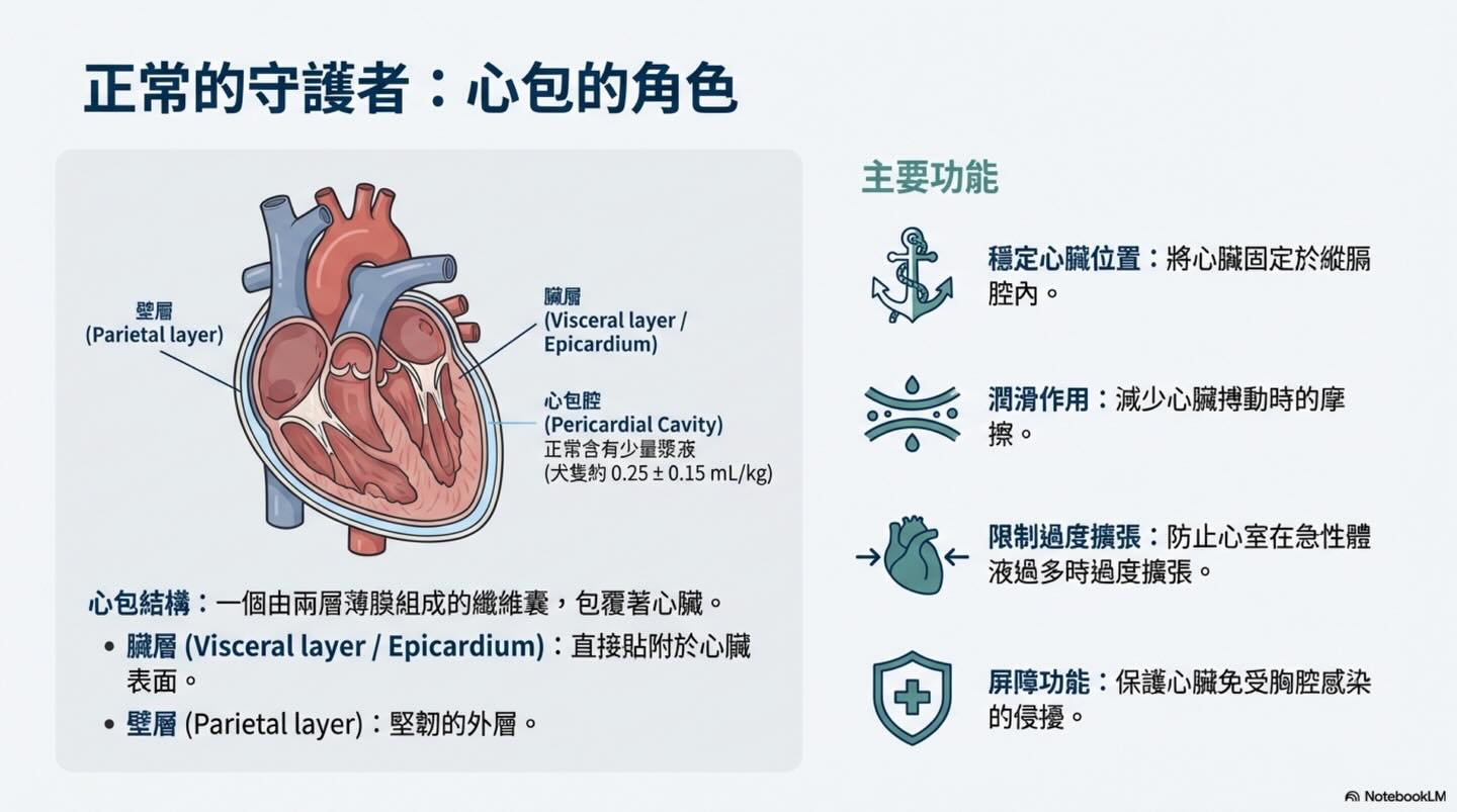 心包填塞：致命的壓力鍋圖卡 2