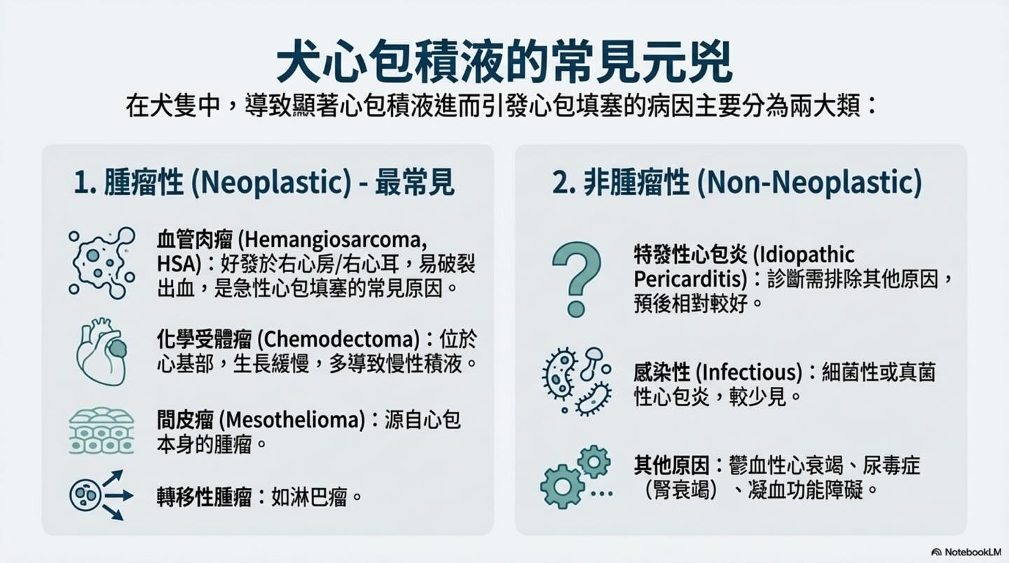 心包填塞：致命的壓力鍋圖卡 5
