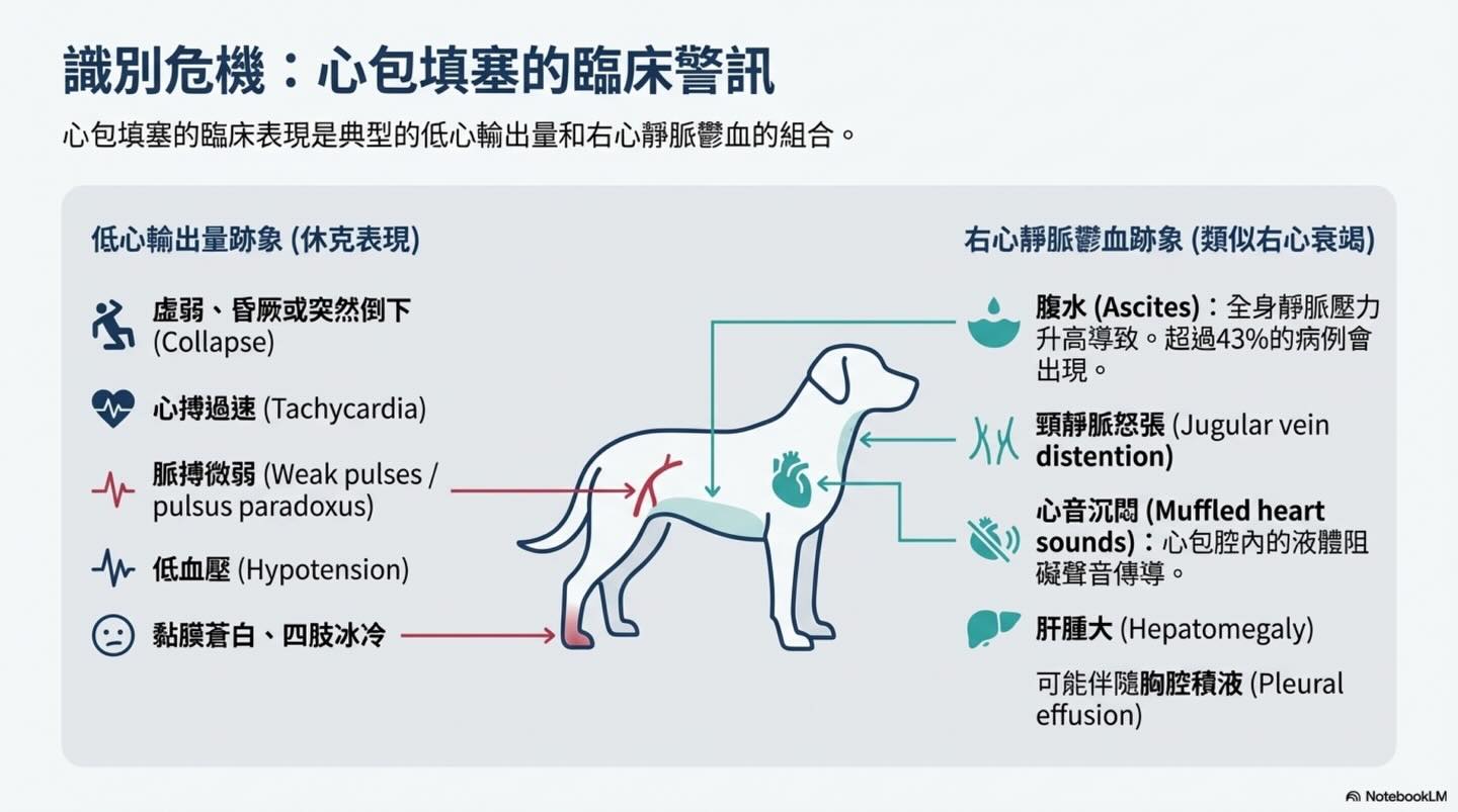 心包填塞：致命的壓力鍋圖卡 6