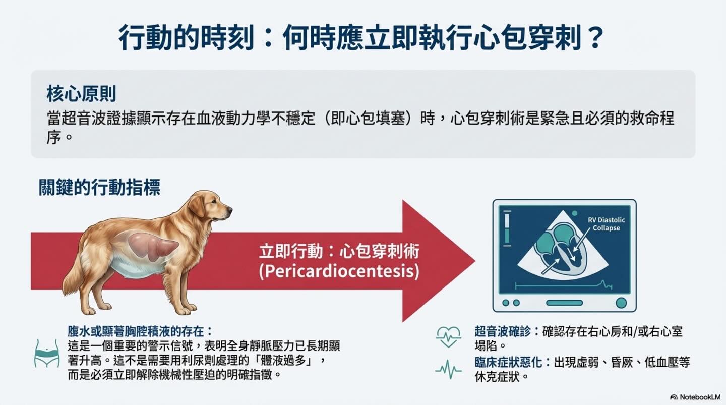 心包填塞：致命的壓力鍋圖卡 8