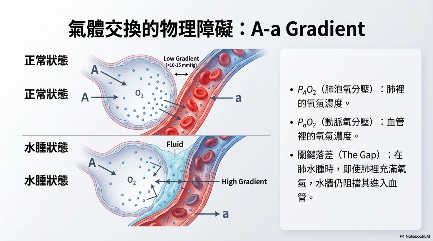 犬貓心因性肺水腫：氧氣治療的迷思與真相圖卡 4