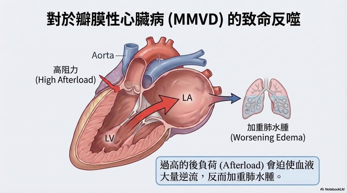 犬貓心因性肺水腫：氧氣治療的迷思與真相圖卡 6