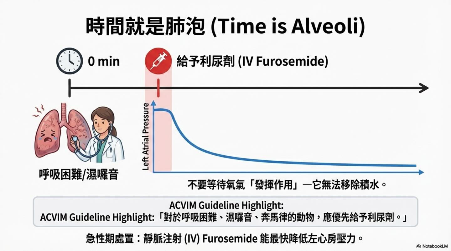 犬貓心因性肺水腫：氧氣治療的迷思與真相圖卡 9