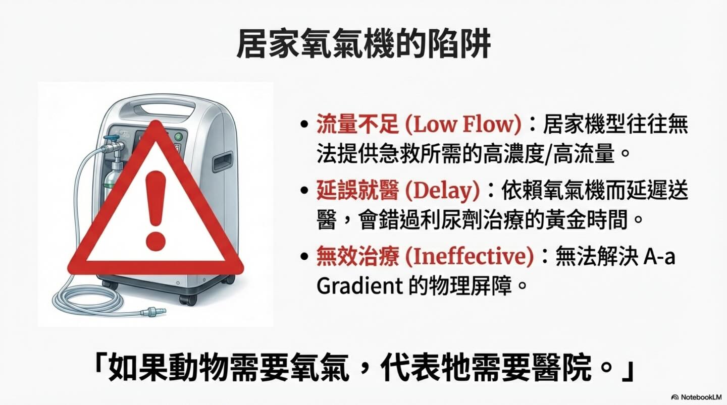 犬貓心因性肺水腫：氧氣治療的迷思與真相圖卡 12