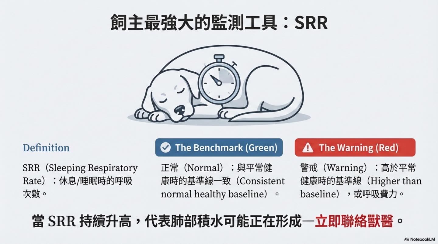 犬貓心因性肺水腫：氧氣治療的迷思與真相圖卡 13