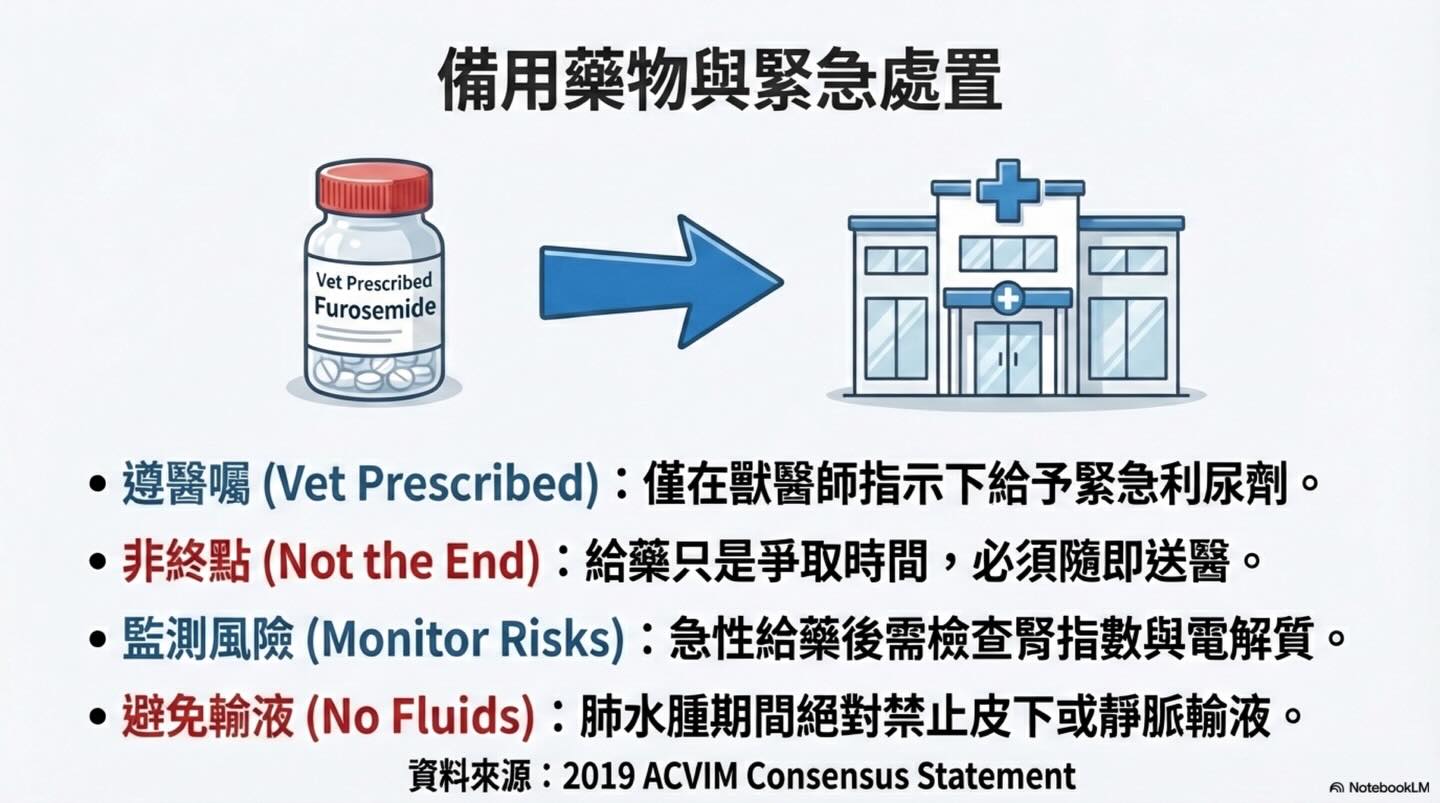 犬貓心因性肺水腫：氧氣治療的迷思與真相圖卡 14