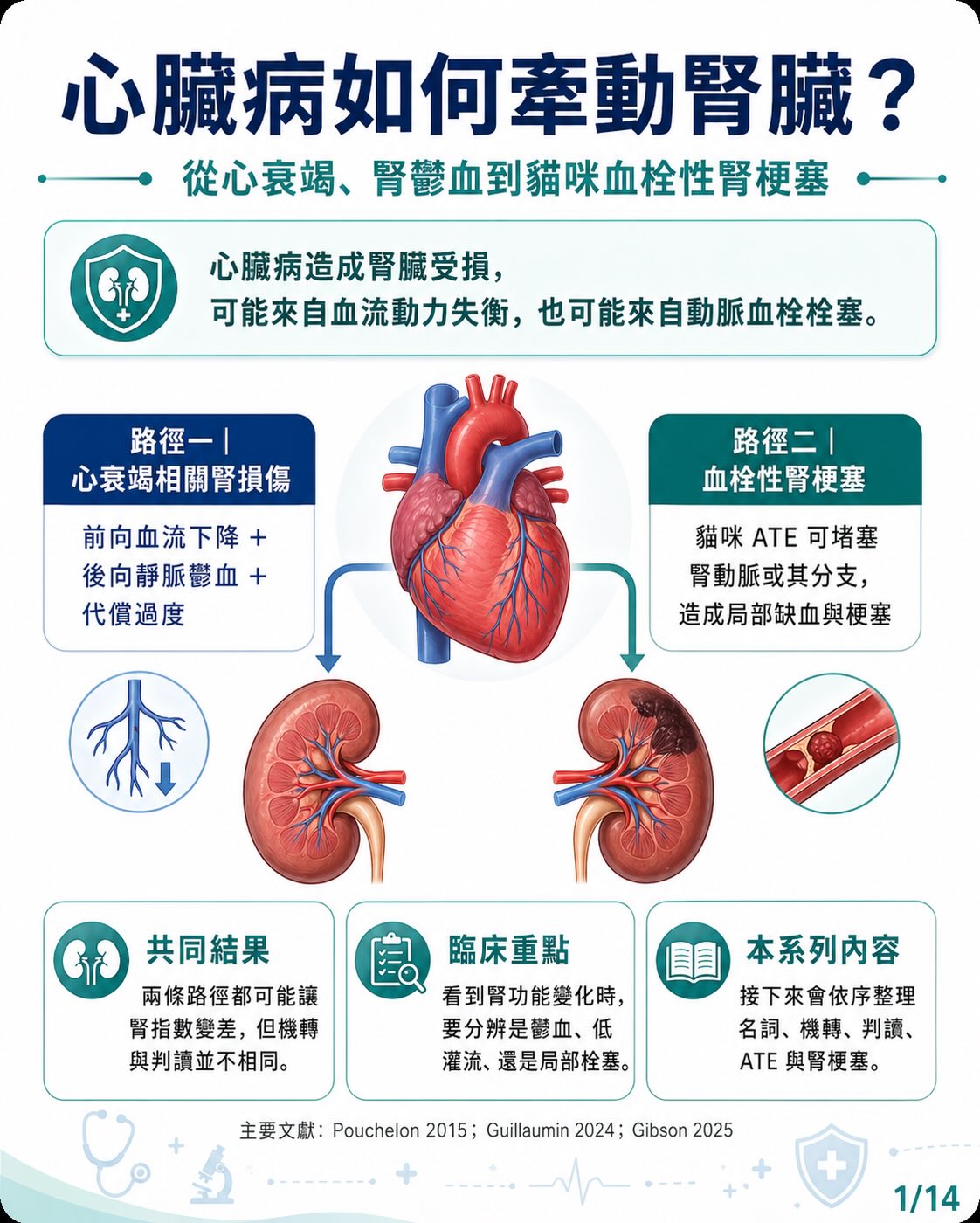 手機直式圖卡集合封面：心臟病如何牽動腎臟？