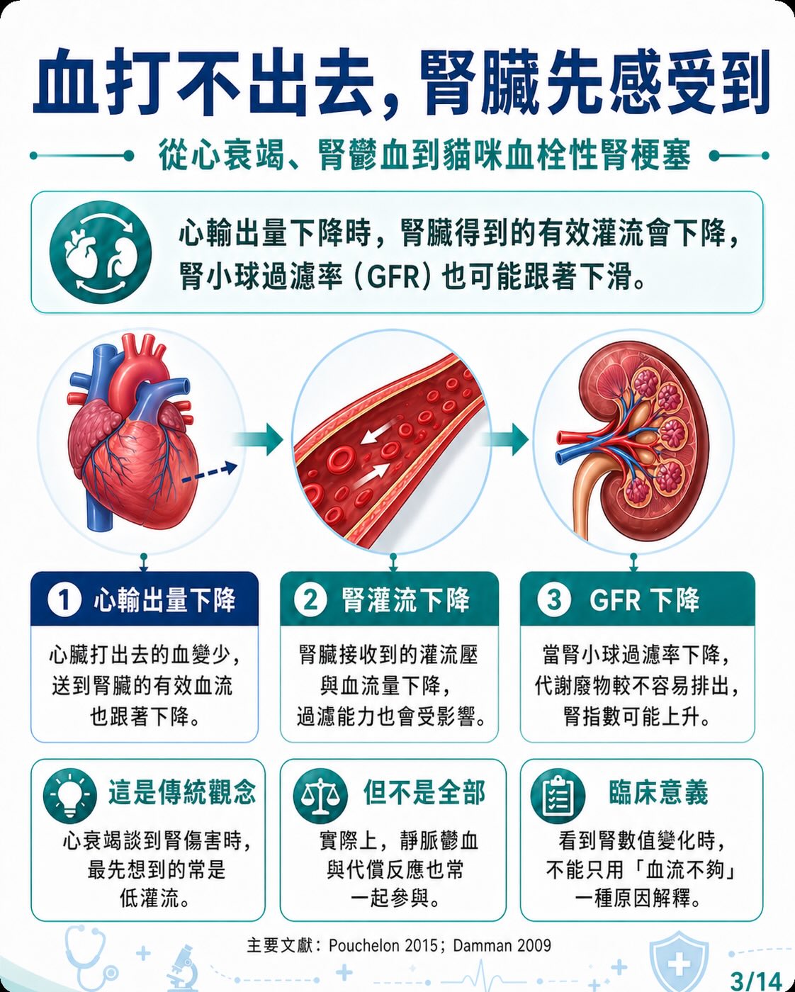 心臟病如何牽動腎臟？圖卡 3