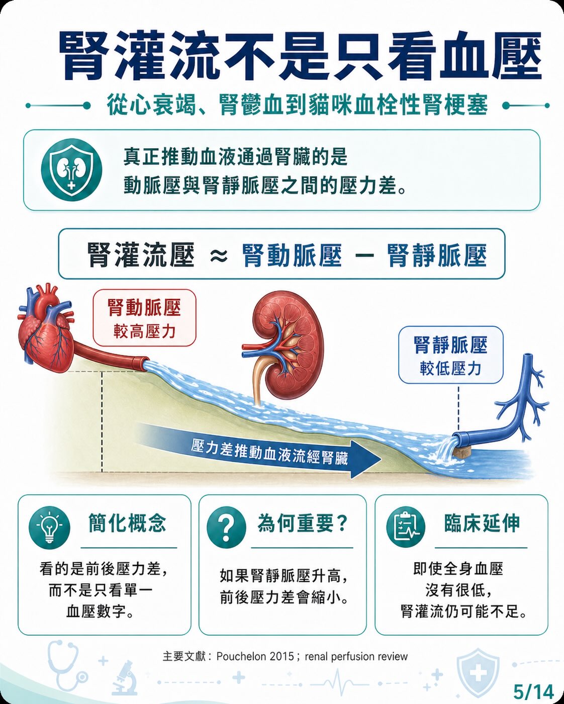 心臟病如何牽動腎臟？圖卡 5