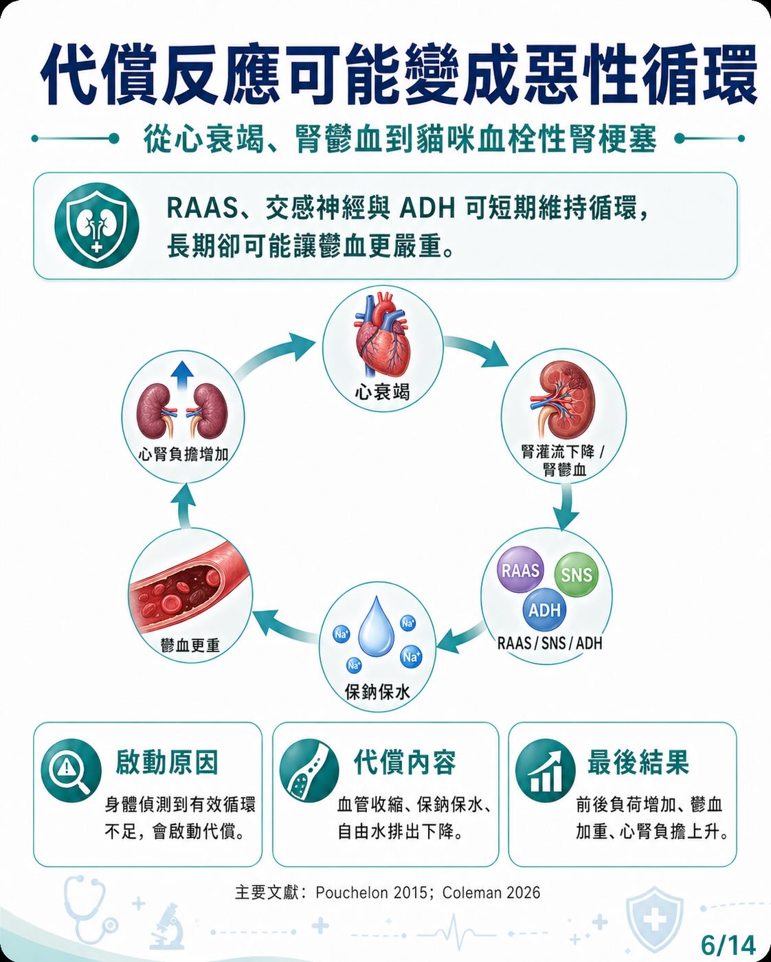 心臟病如何牽動腎臟？圖卡 6