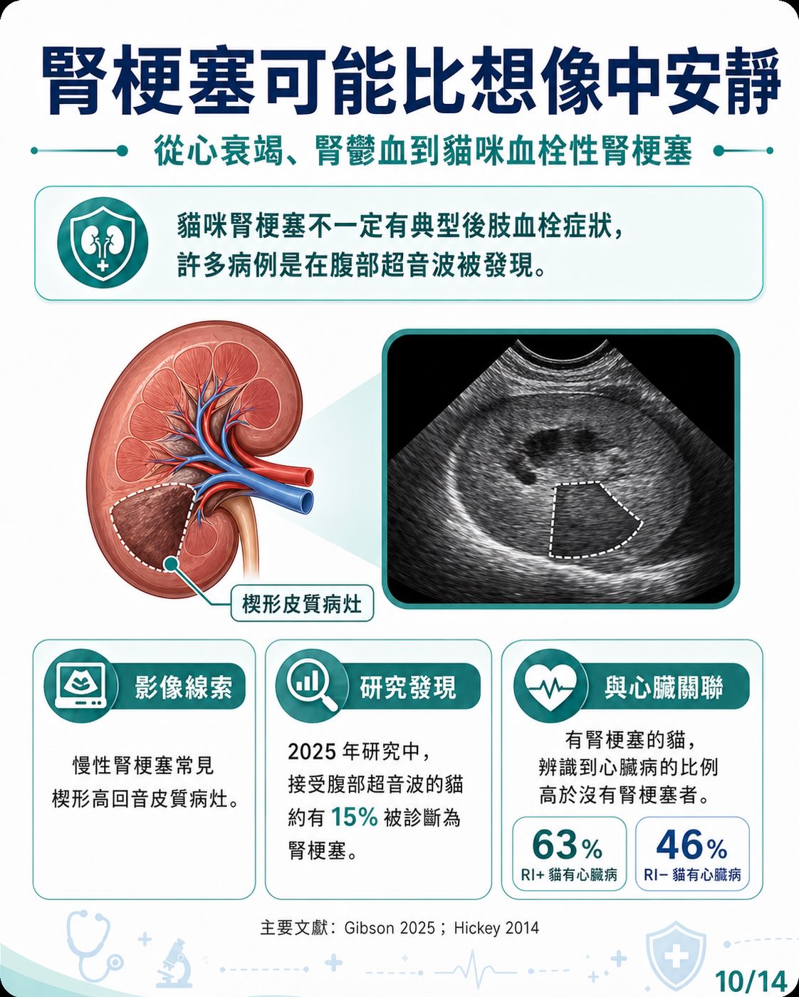 心臟病如何牽動腎臟？圖卡 10