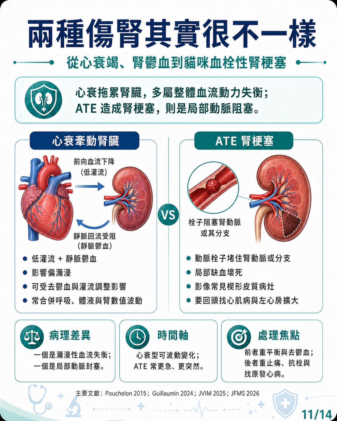 心臟病如何牽動腎臟？圖卡 11