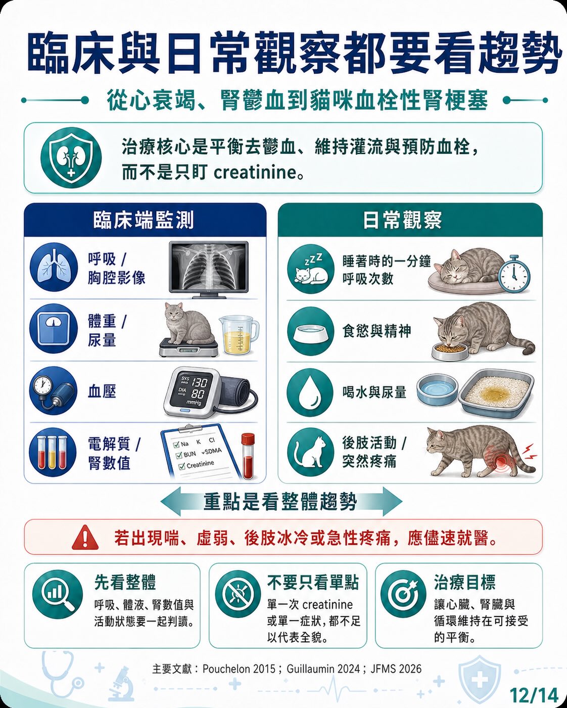 心臟病如何牽動腎臟？圖卡 12