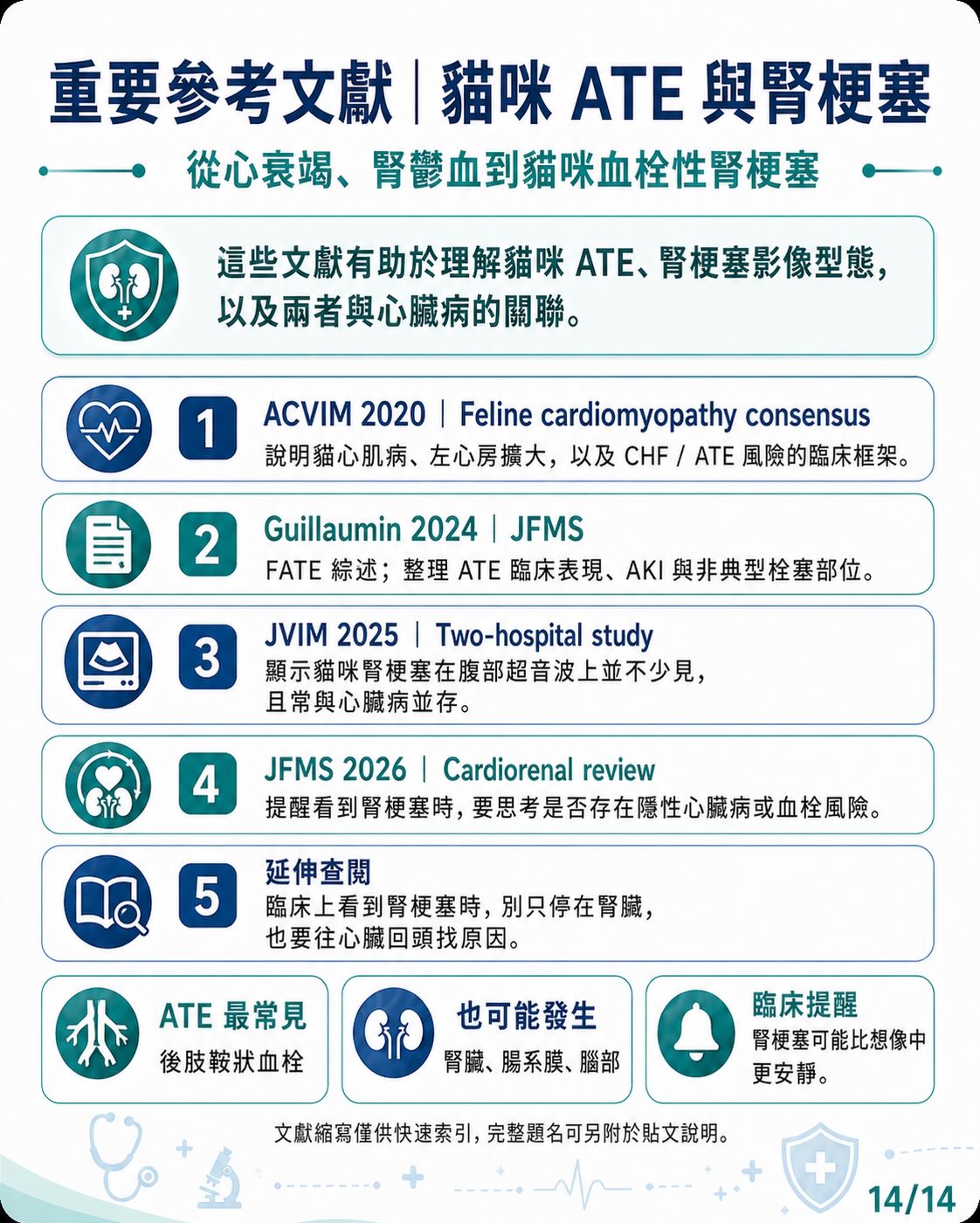 心臟病如何牽動腎臟？圖卡 14