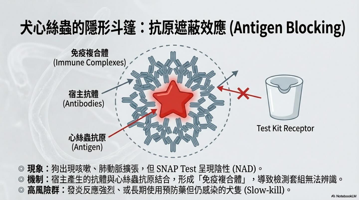 臨床診斷的決策藝術：超越數據的迷思圖卡 5