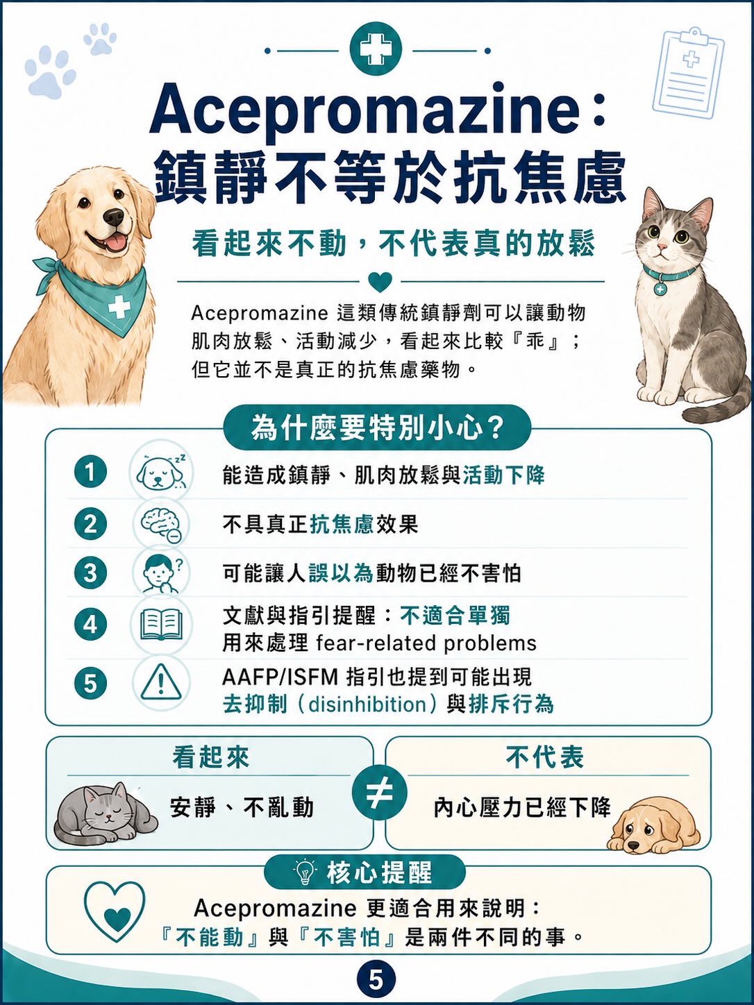 為什麼「反主流真相」特別吸引人？圖卡 6