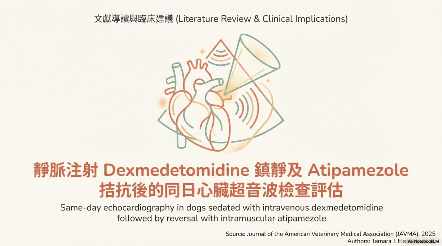 橫式圖卡集合封面：Dexmedetomidine 鎮靜及 Atipamezole 拮抗後的同日心臟超音波評估