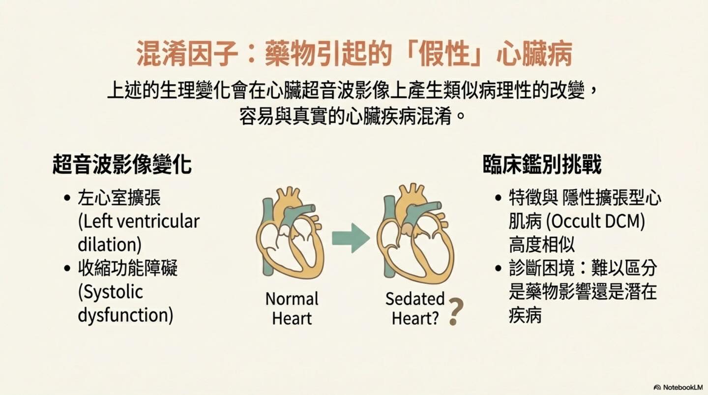 Dexmedetomidine 鎮靜及 Atipamezole 拮抗後的同日心臟超音波評估圖卡 3