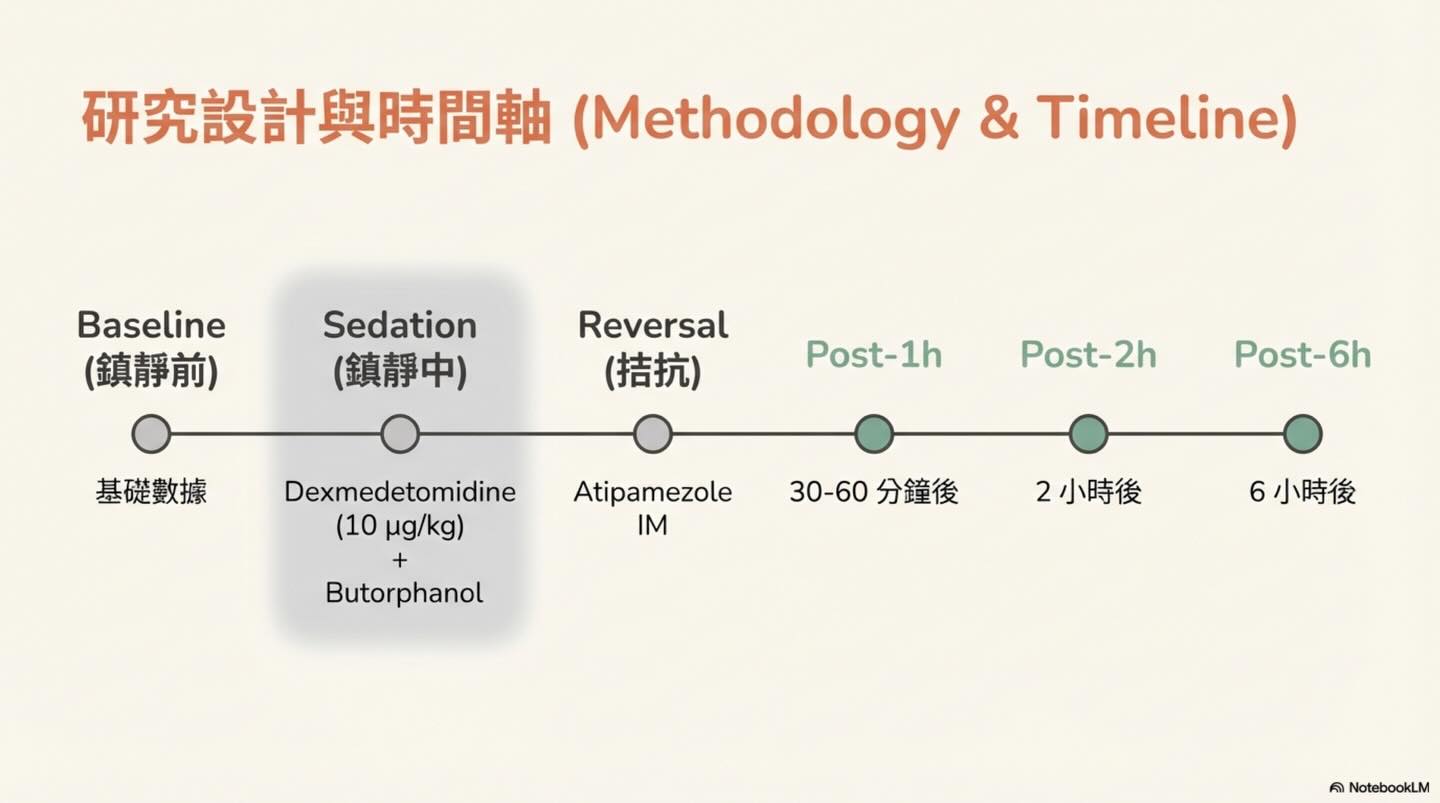 Dexmedetomidine 鎮靜及 Atipamezole 拮抗後的同日心臟超音波評估圖卡 5