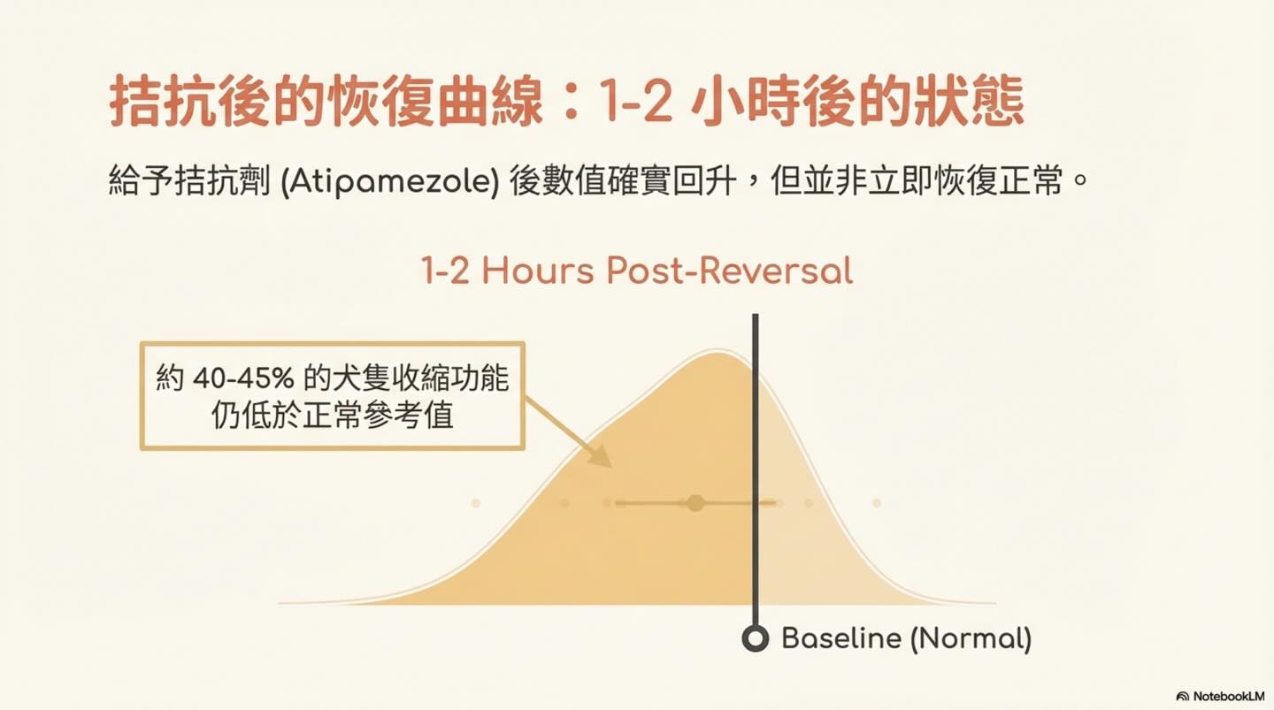 Dexmedetomidine 鎮靜及 Atipamezole 拮抗後的同日心臟超音波評估圖卡 7