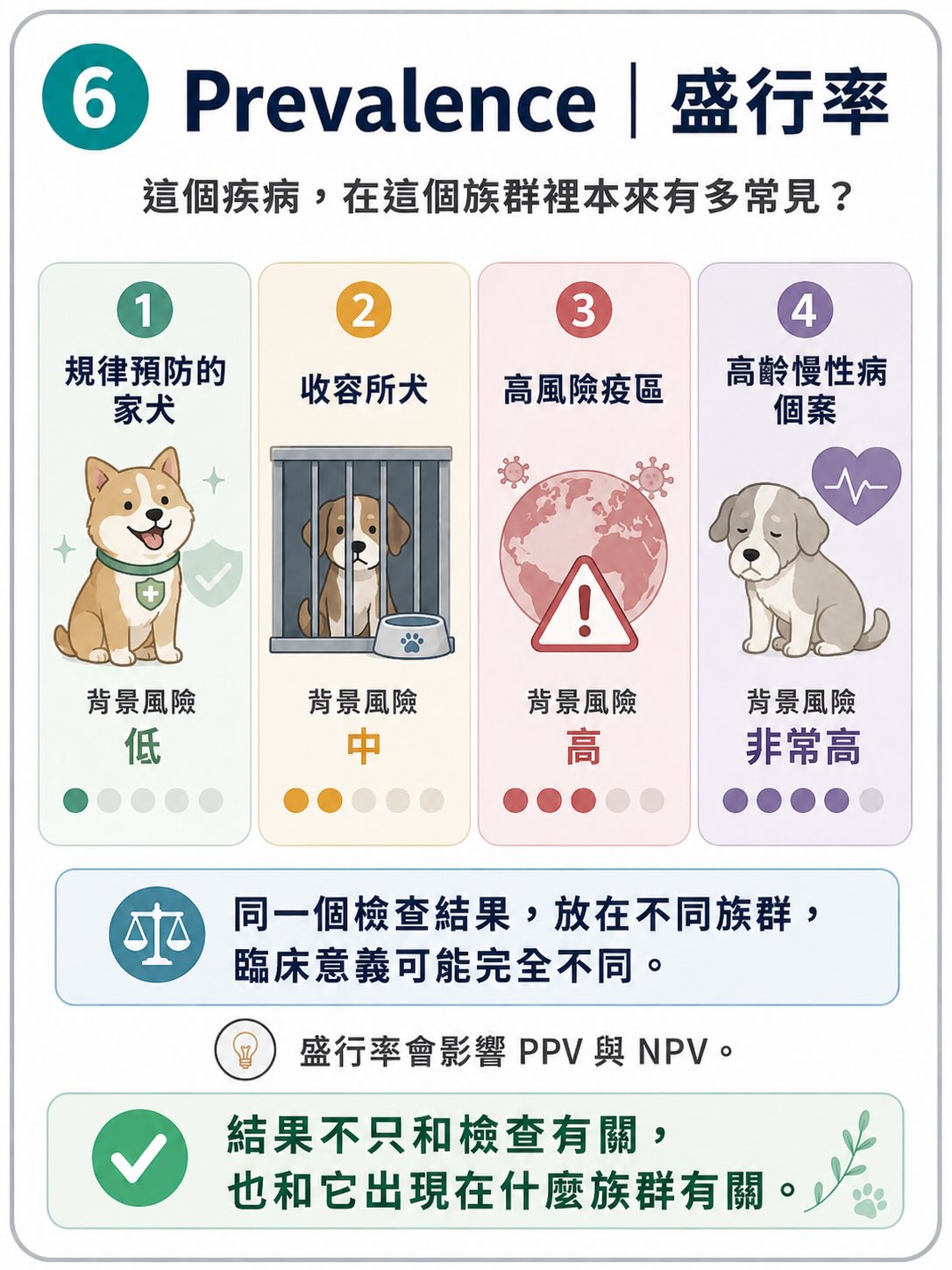 所有檢查，都不是單獨答案圖卡 6