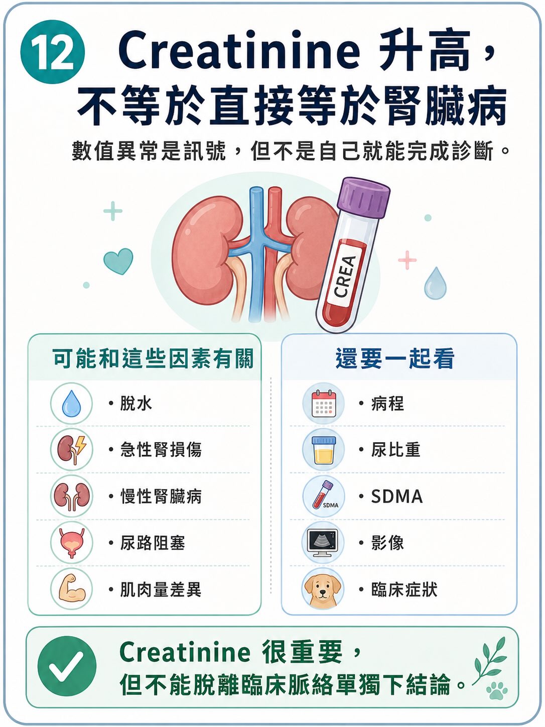 所有檢查，都不是單獨答案圖卡 12