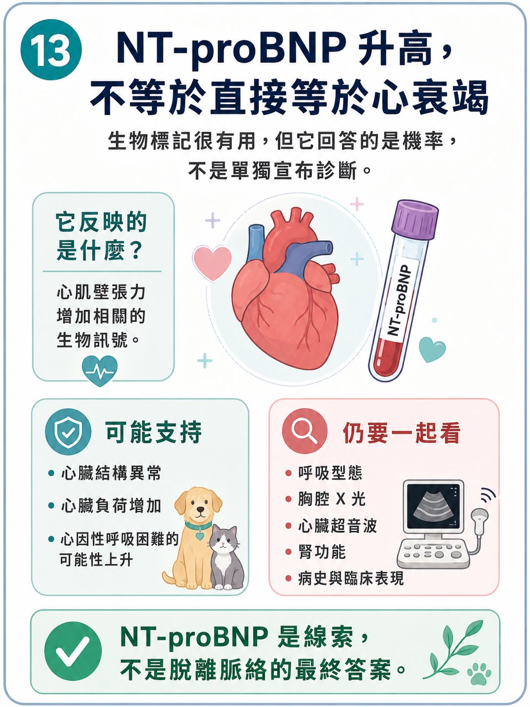 所有檢查，都不是單獨答案圖卡 13
